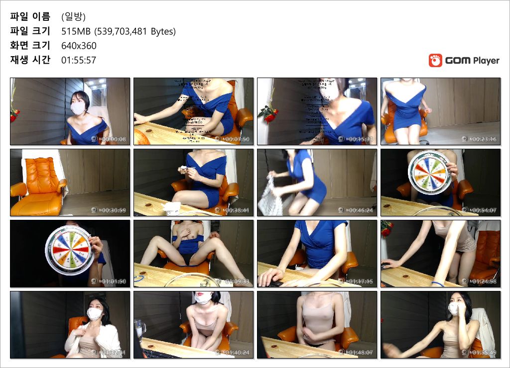 최근 복귀한 이새해 벗방 시절 [일방/팬방/아프리카] 미리보기 9