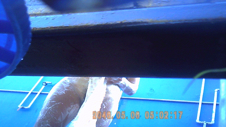 한강 수영장 시리즈 [아랫각] 미리보기 6