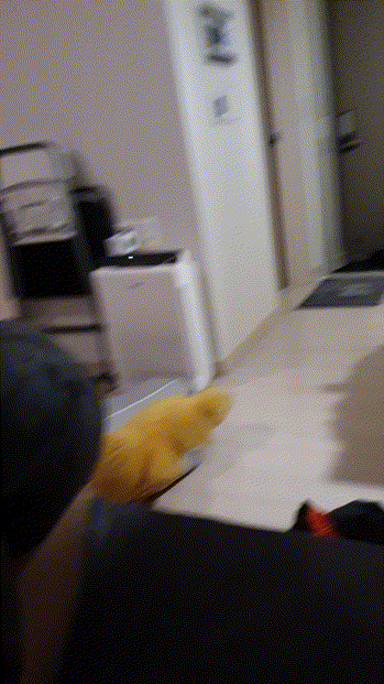 다정 [옆구리 문신녀] 미리보기 10