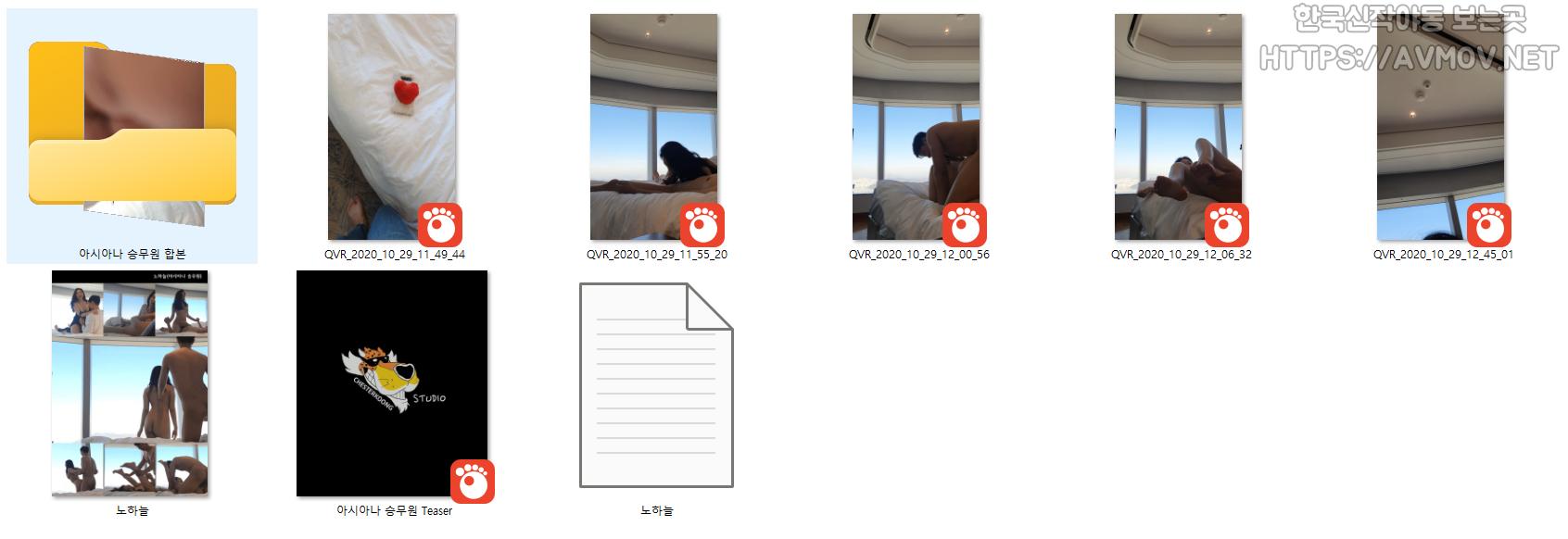 노하늘 [아시아나 승무원] 미리보기 11