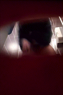 [신작] 아랫각 미리보기 5