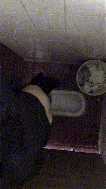 최근 장실 10개 미리보기 8