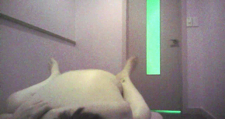 녹색빛 마사지방_집으로 부른 미모의 타이 마사지녀 [좌우밝은버젼_다른날] 미리보기 6