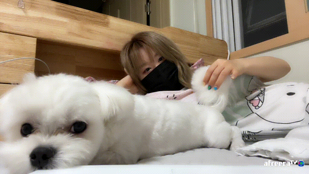 아프리카 BJ 둡꽁_육덕 언더붑방송 + 패치 노출 [6개] 미리보기 3