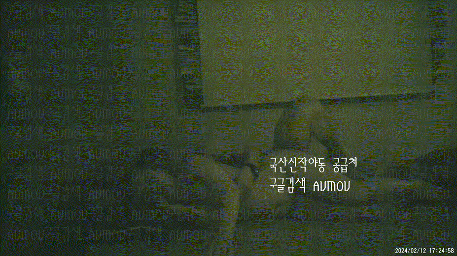 [건물주아재] 키스방 홈런 시리즈 20탄_보빨 좋아하는_희지 [24.02.12] 미리보기 7