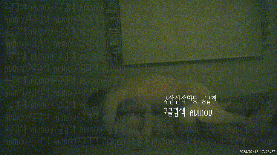 [건물주아재] 키스방 홈런 시리즈 20탄_보빨 좋아하는_희지 [24.02.12] 미리보기 8