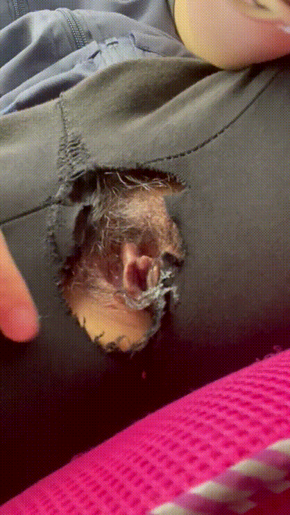 편의점 알바_야노녀 미리보기 6