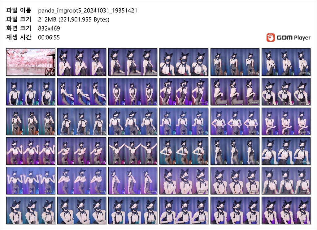 푸름 imgroot5_24.10.31 팬더 스타킹.바니걸.핑두 미리보기 5