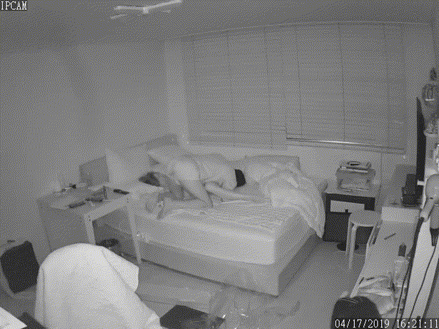 IP 창문썬팅 [발정남] 미리보기 5