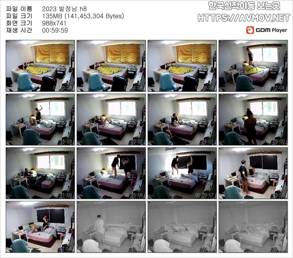 IP 창문썬팅 [발정남] 미리보기 8