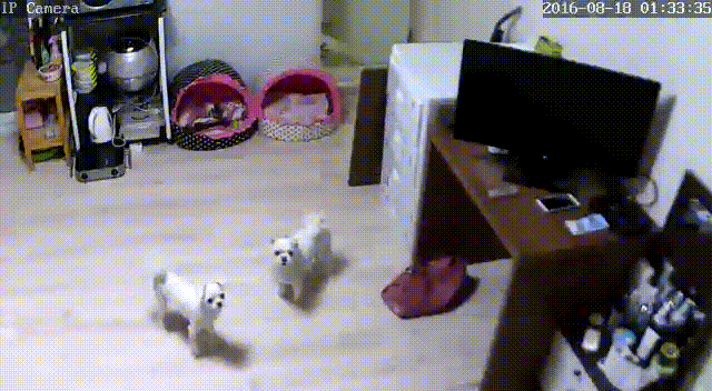 IP_카메라 의심녀 미리보기 9