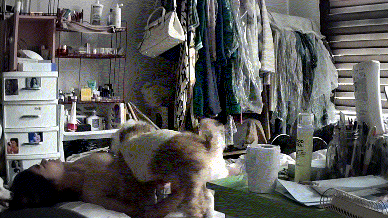 IP_개딸쳐주고 개보빨 미리보기 2