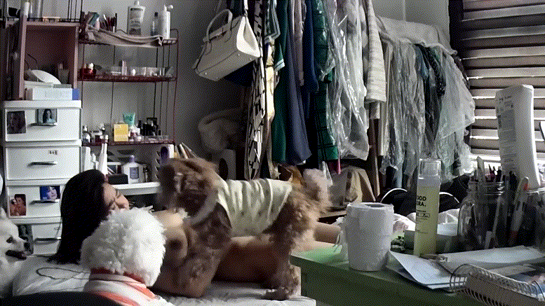 IP_개딸쳐주고 개보빨 미리보기 3