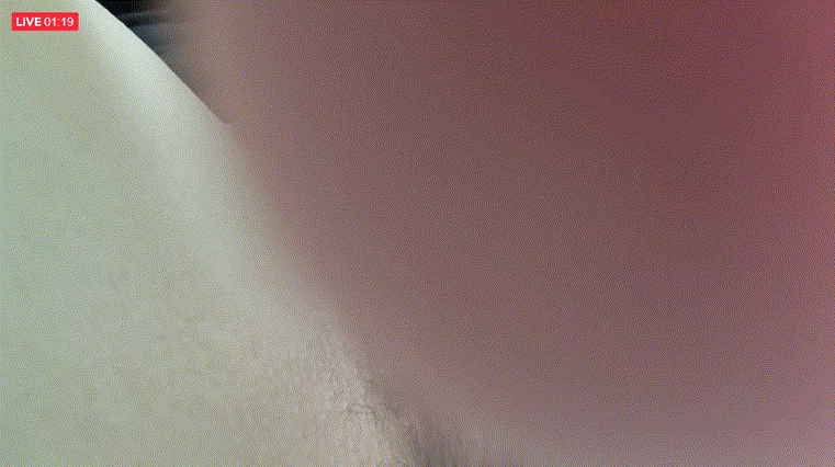 밴드라방 자위올노 미리보기 4