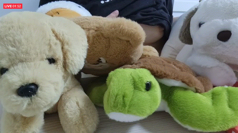 밴드라방 자위올노 미리보기 6