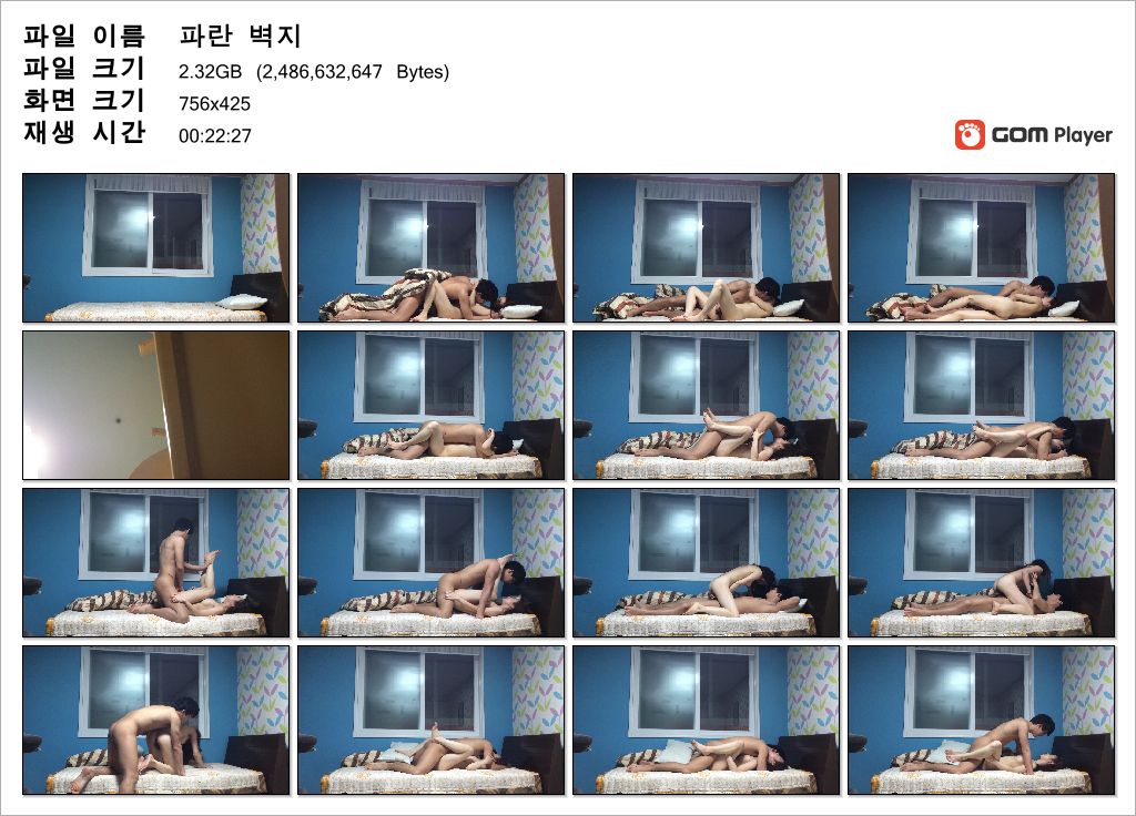 파란벽지 [원본] 2.31g 무광고 미리보기 6