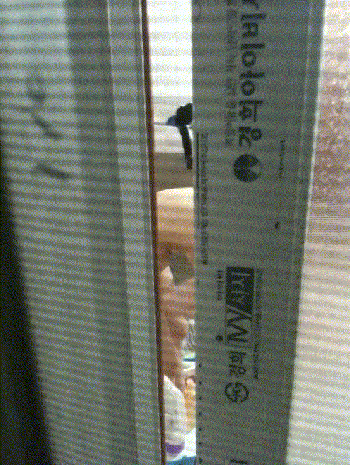 방충망 너머_존예녀 화장실/샤워 미리보기 2