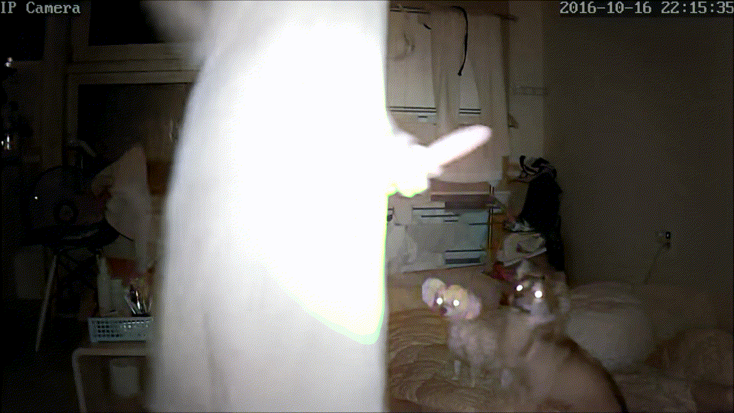 IP 호박 자위_원본 그리고 AI채색 미리보기 2