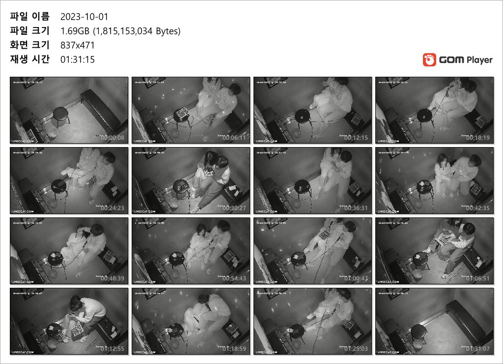 IP신작☆코인노래방 시오후키 커플 2개작 미리보기 11