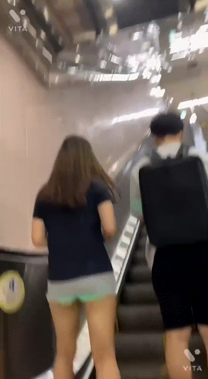 돌핀 모음 5명 미리보기 2