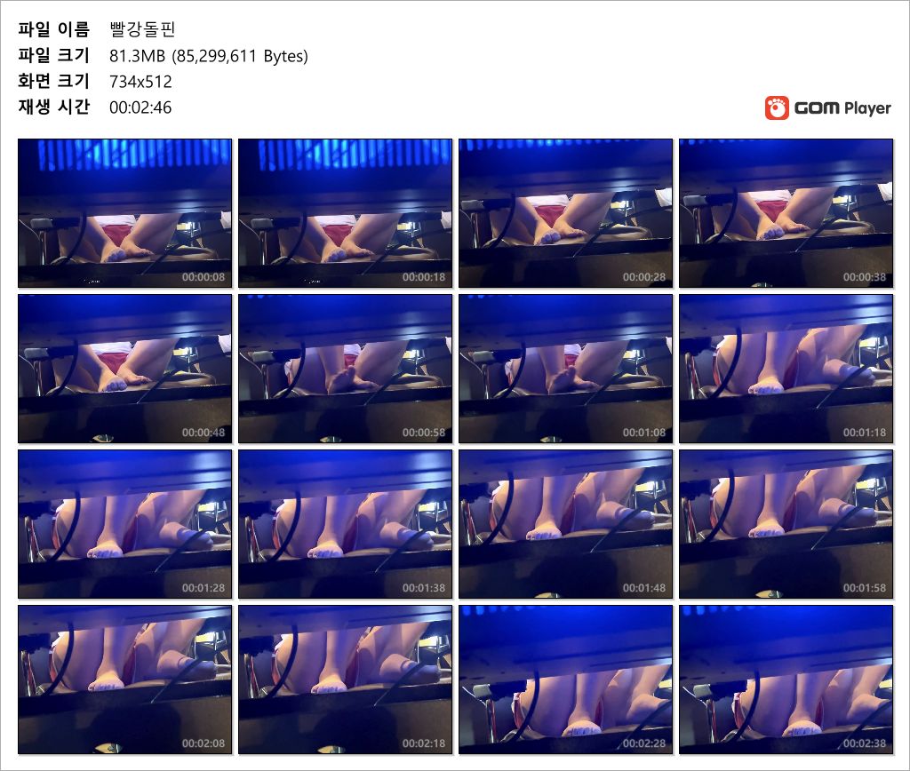 돌핀 모음 5명 미리보기 10