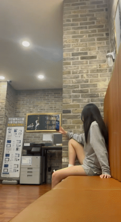 회색돌핀 옆도ㅊ 미리보기 2