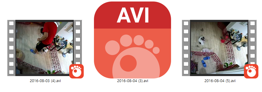 IP_거실에서 펜스안 개키우는 부부_육덕와아프 샤워 미리보기 7