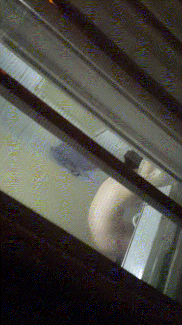 [옆집] 발바닥 각질 미는 여자 미리보기 2