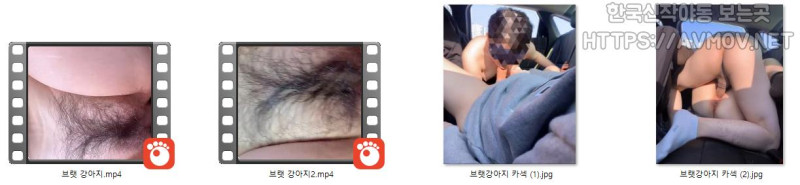 브랫강아지 카섹 미리보기 5