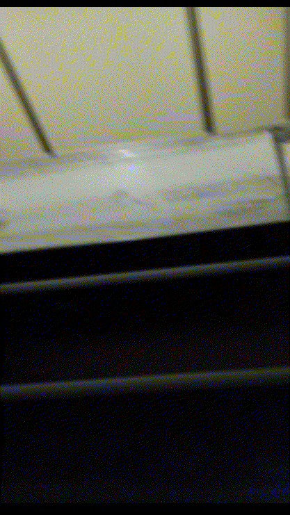 2022 코로나시절 장실몰 미리보기 3