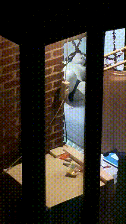 【직찍신작】 창문으로 보이던 처자 미리보기 4