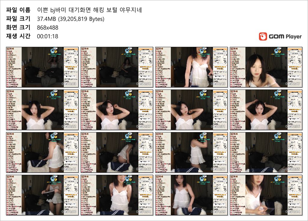 이쁜 BJ바미_대기화면해킹 [수북한 보지털] 미리보기 5