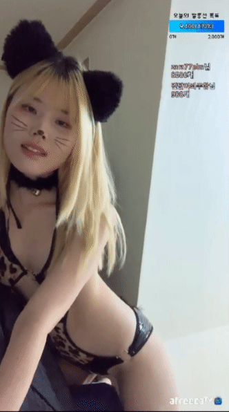 아프리카 민수만_하체지리는 의첸방송 6.08기가_8시간33분 미리보기 2