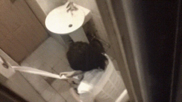 거지가터 장실몰래 모음 47V 미리보기 11