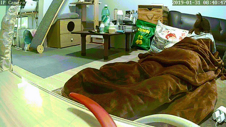 IP 한국 자위녀 모음 4탄 미리보기 14