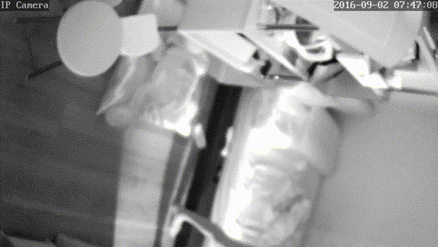 IP_나체 다리 운동기녀 미리보기 4