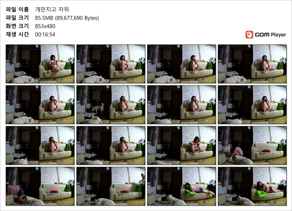 IP_개 딸쳐주고 자위하는 아줌마 미리보기 3