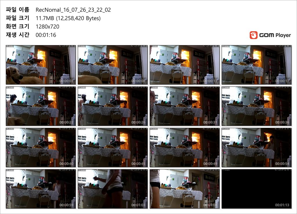 IP_리트리버 커플 미리보기 5