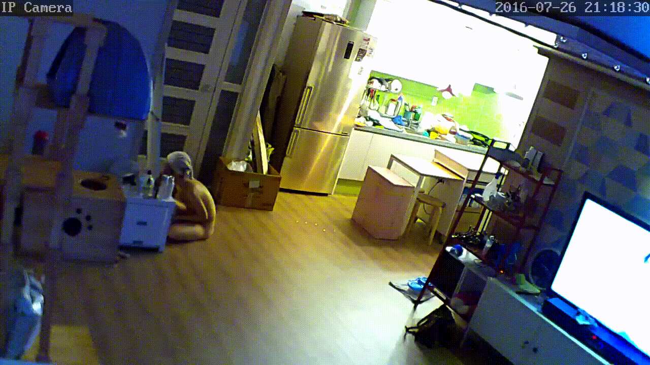 IP_캣타워청소녀 [보지털 밀림수준] 미리보기 6