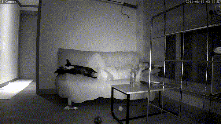 IP 한국 자위녀 모음 9탄 미리보기 7