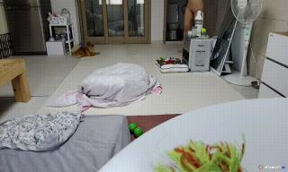 IP_개엄마 2개작