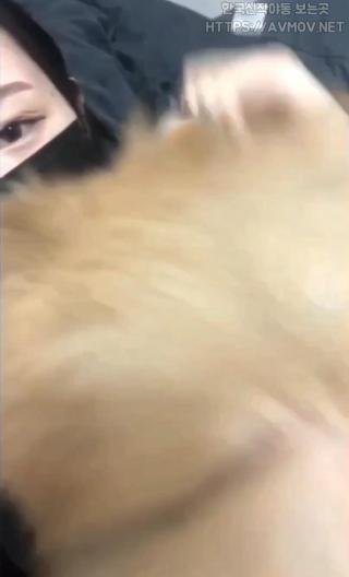 개 2마리 보빨녀