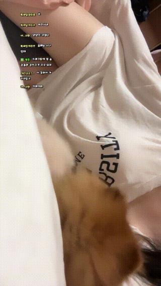 아프리카 유휴이 2024.10.11 노브라.노템+강아지