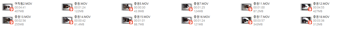 장실레젼드_증권회사 12개파일 미리보기 8