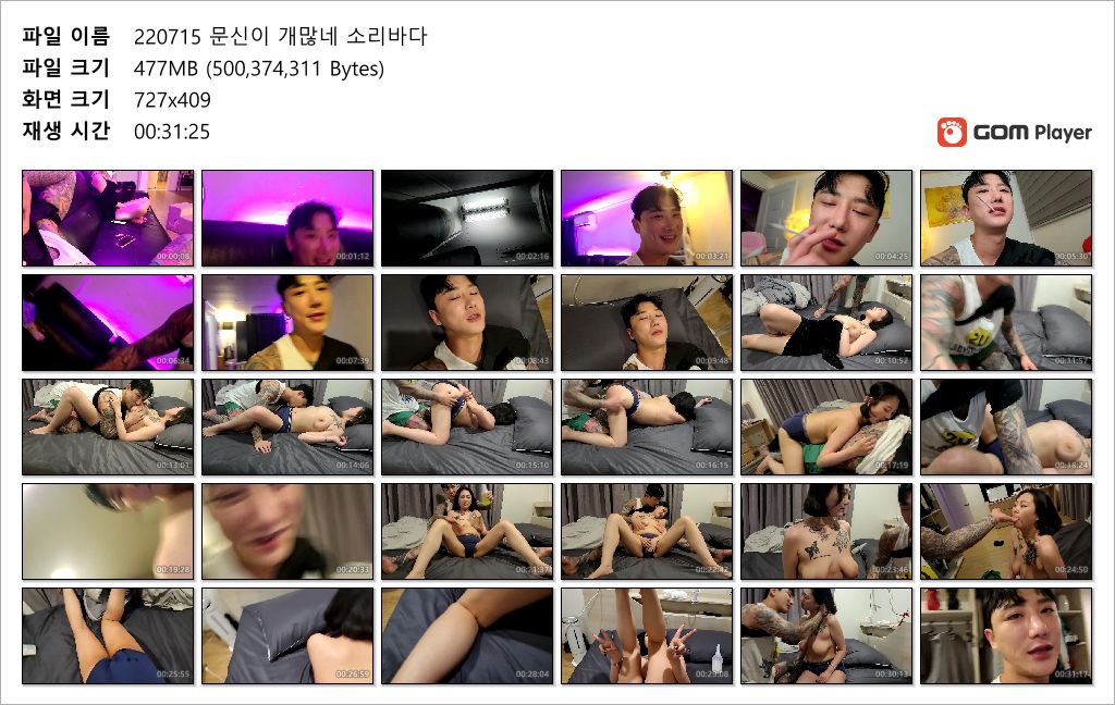 가호 팬방_타투 많은 슬렌더 빅파이 [☆특이한 젖] 2명중 1명은 술꼬름 미리보기 12