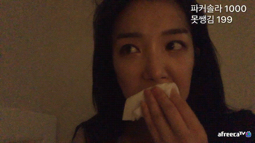 옆집언니 (비방 테스트)/첫팬방 가슴+얼굴노출 [아프리카추가] 미리보기 13