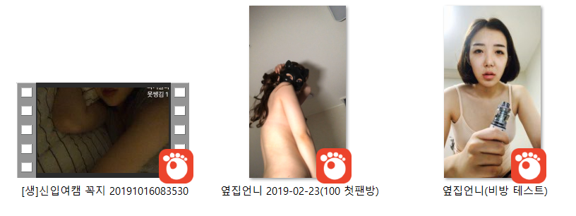 옆집언니 (비방 테스트)/첫팬방 가슴+얼굴노출 [아프리카추가] 미리보기 16