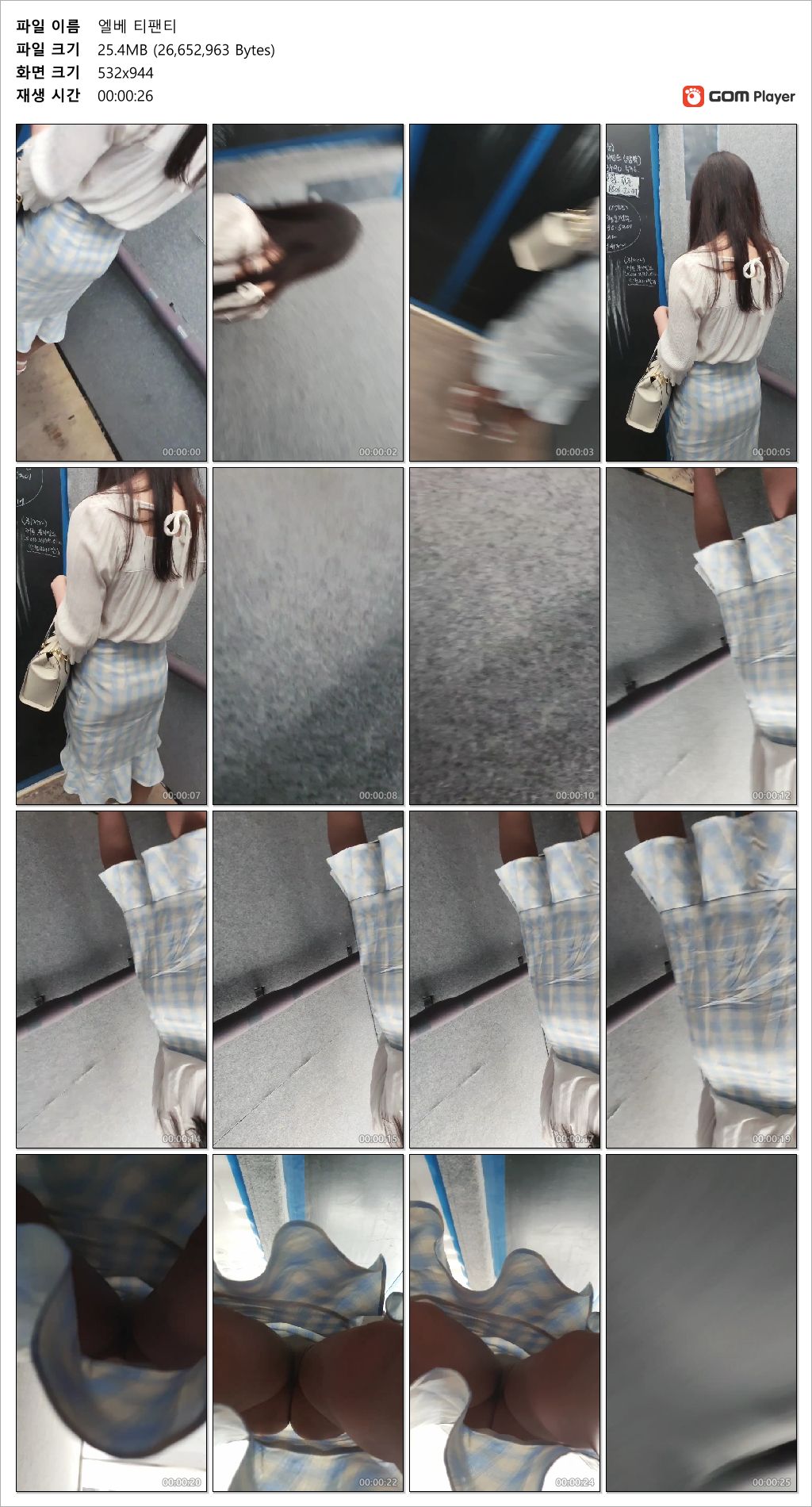 도시철도T팬녀/엘베T팬녀/유람선/헤드폰녀/편의점망사 모음 미리보기 9