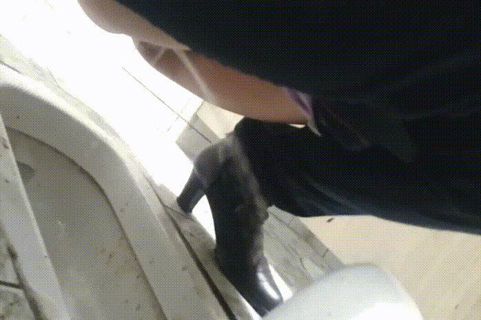 스몰비어_호프집 직캠_17V 미리보기 4