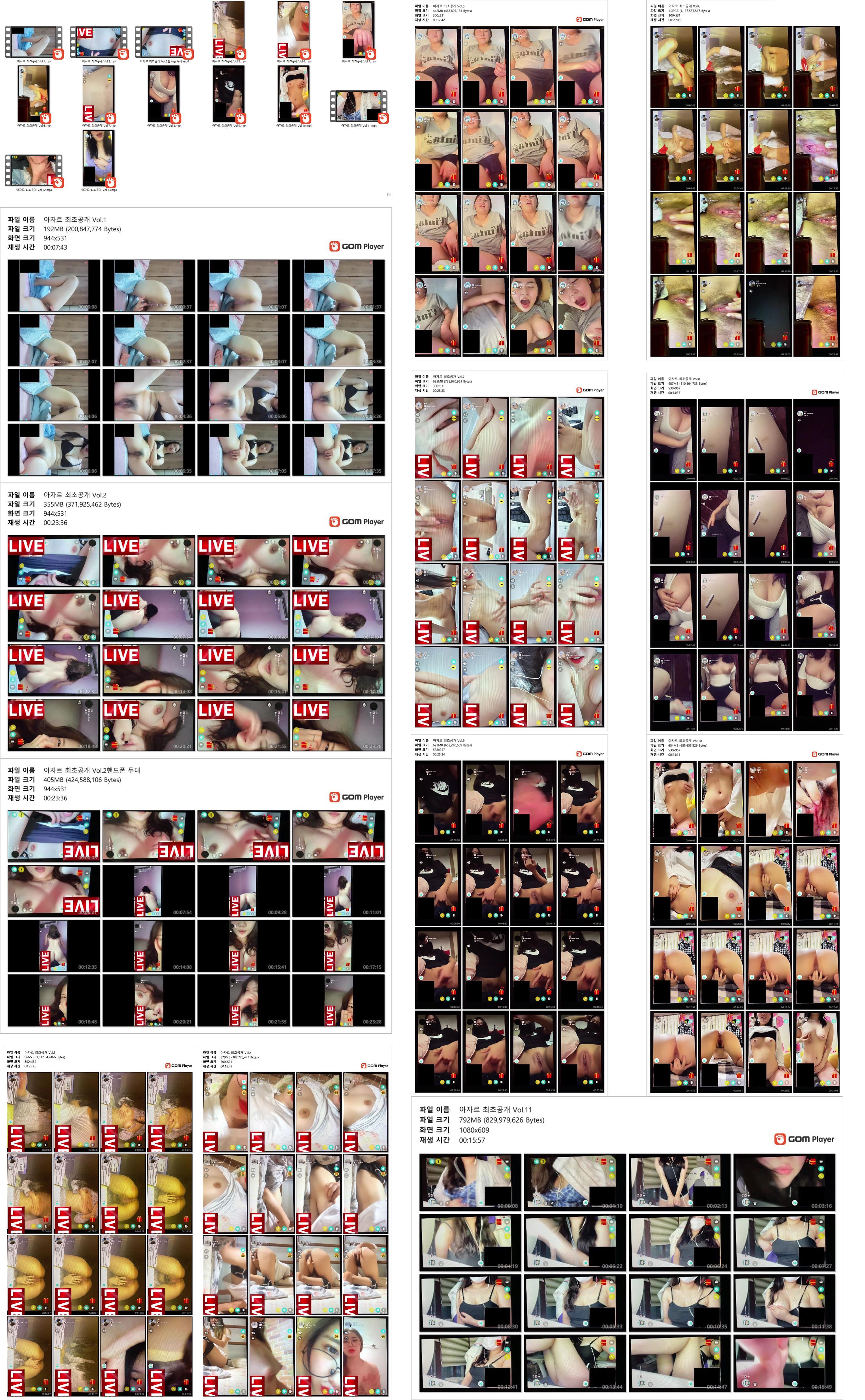 아자르 13개 _얼굴공개작 모음 9.12기가 미리보기 12